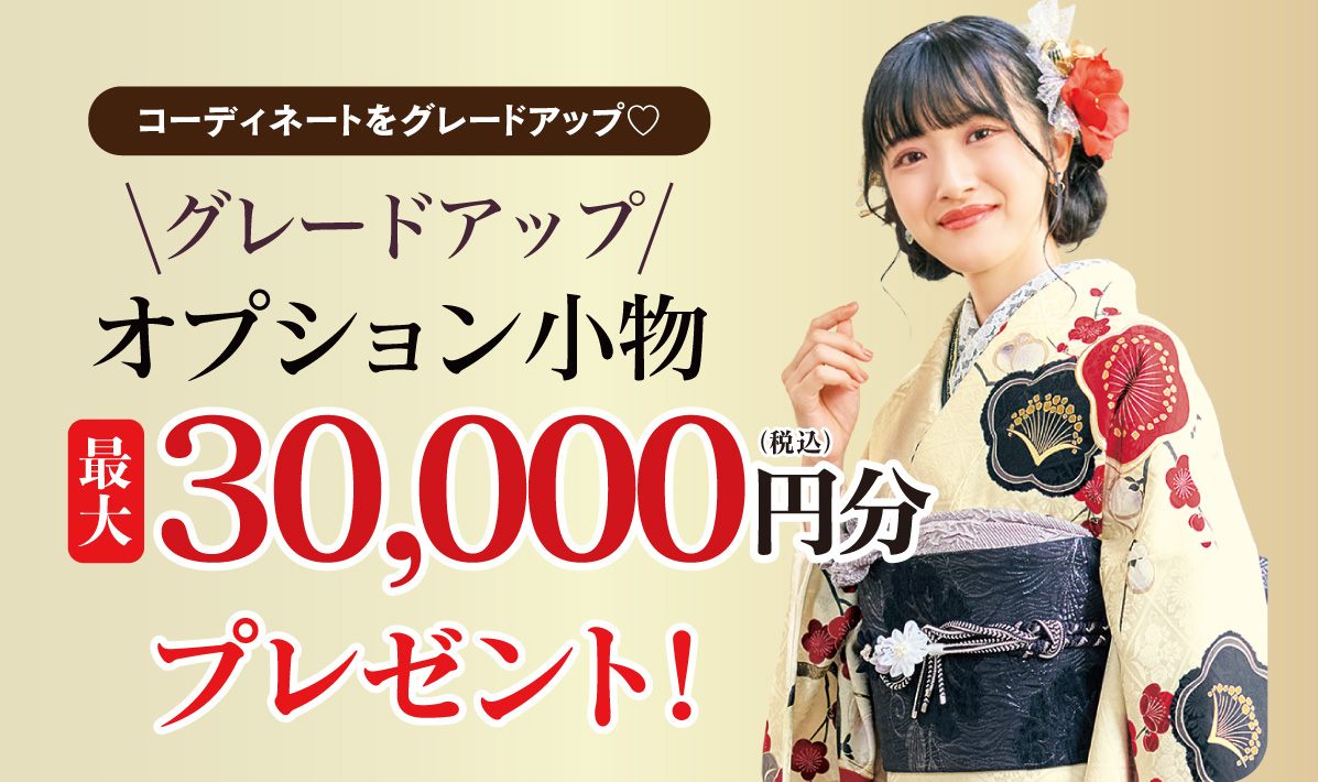 オプション小物