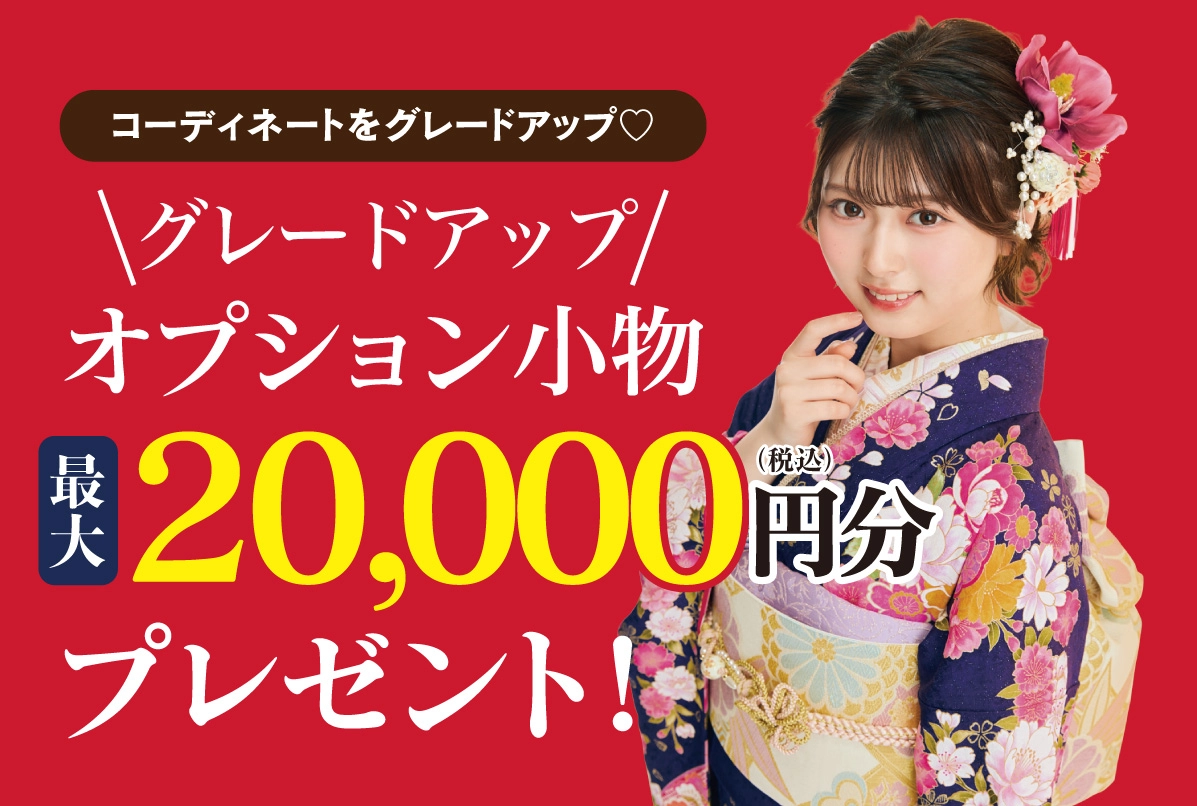 オプション小物2万円