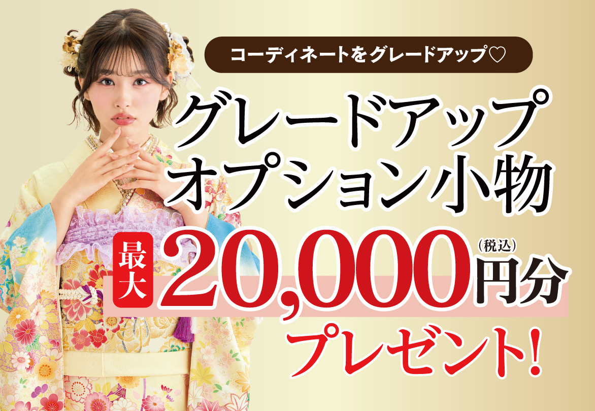 オプション小物2万円