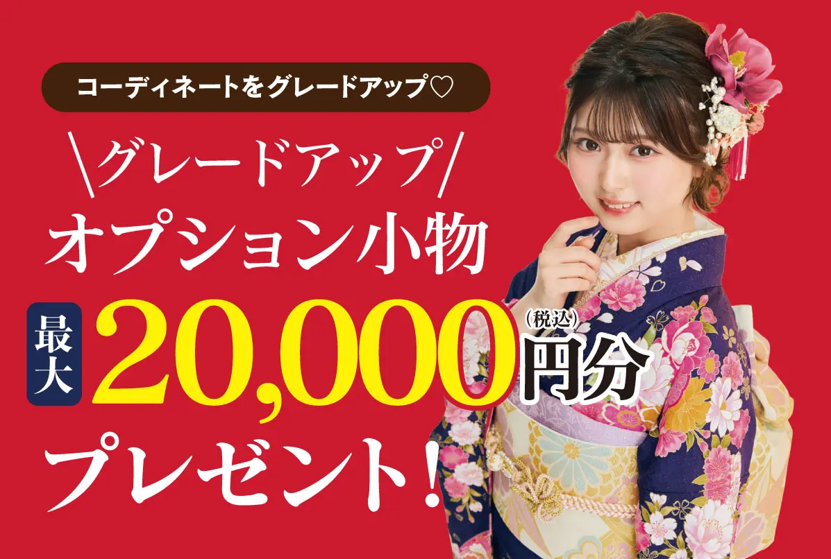 オプション小物2万円