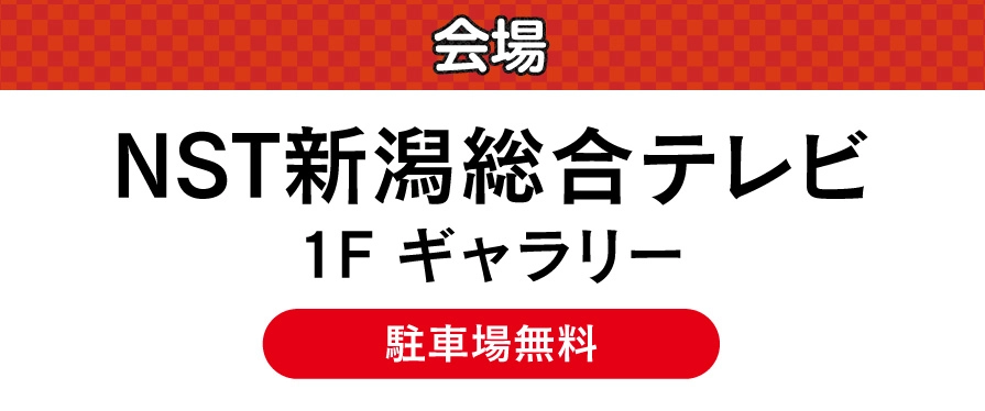 NST新潟総合テレビ