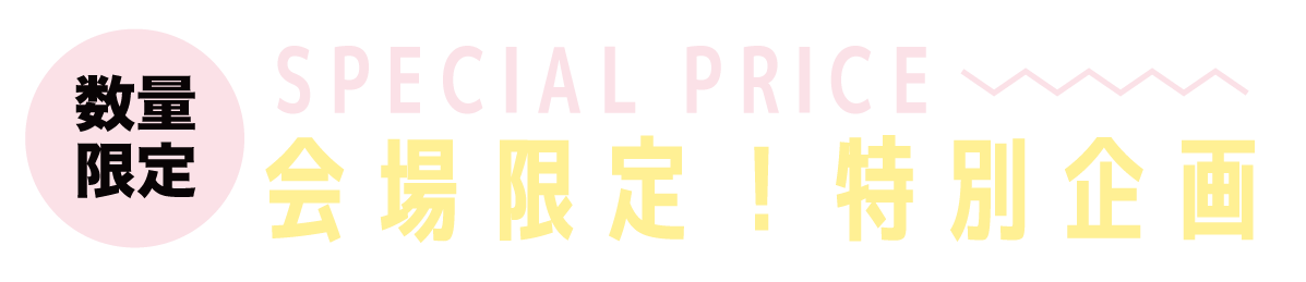 2日間限りのスペシャル企画