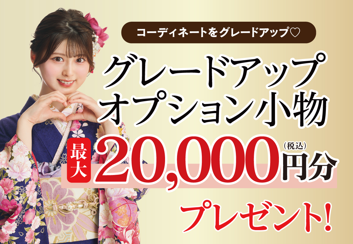 オプション小物2万円