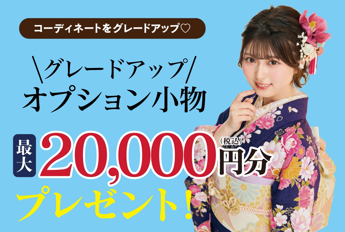 オプション小物3万円