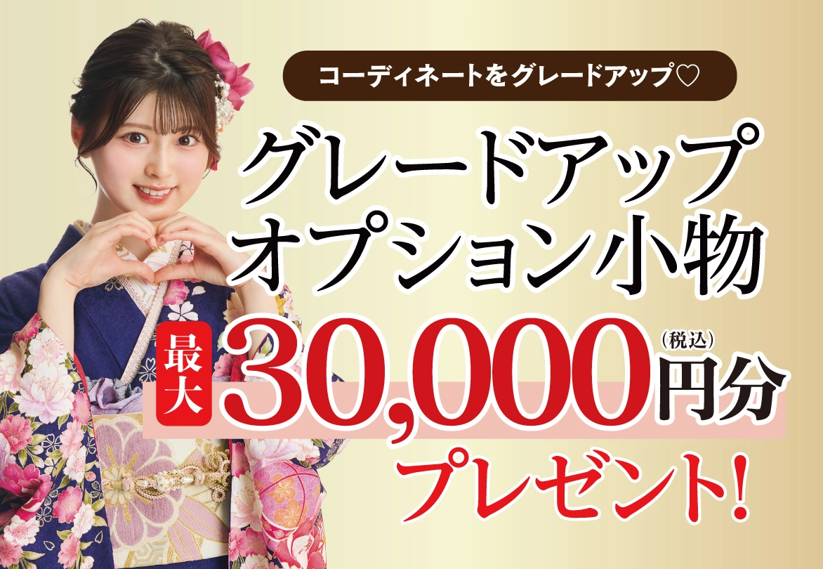 オプション小物2万円