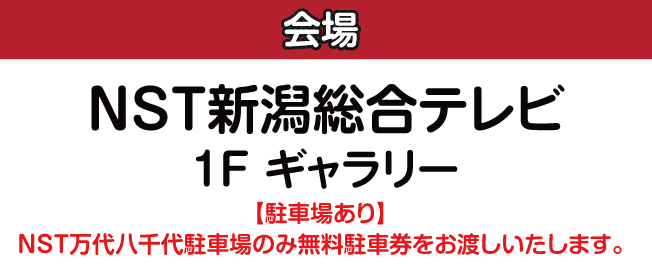 NST新潟総合テレビ