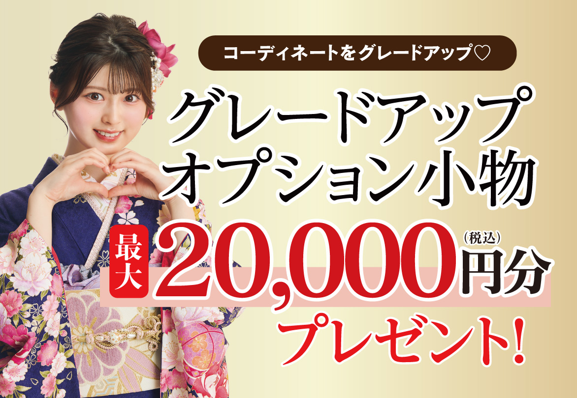 オプション小物2万円