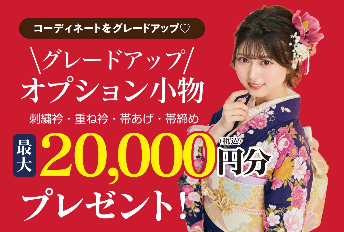 オプション小物3万円