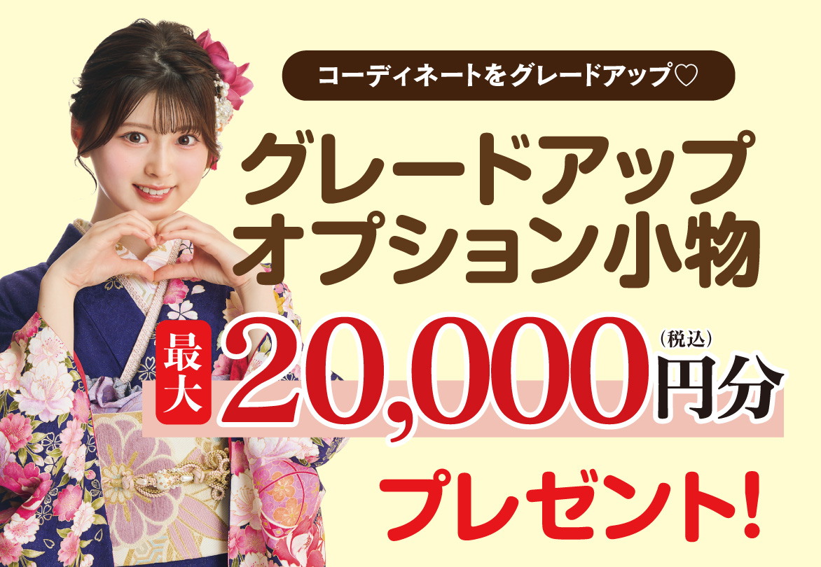 オプション小物