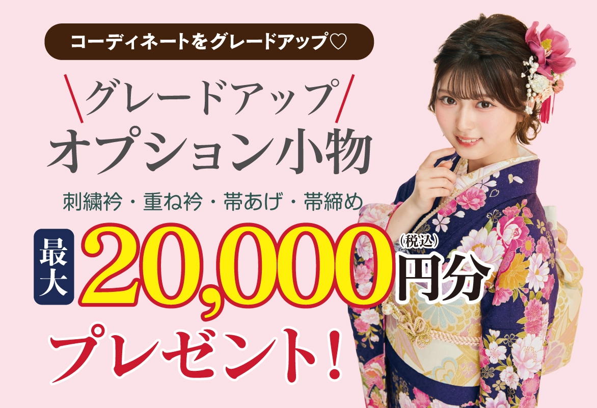 オプション小物3万円