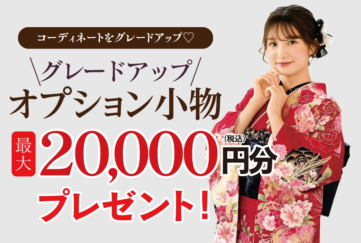 オプション小物