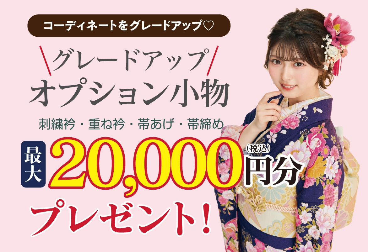 オプション小物3万円