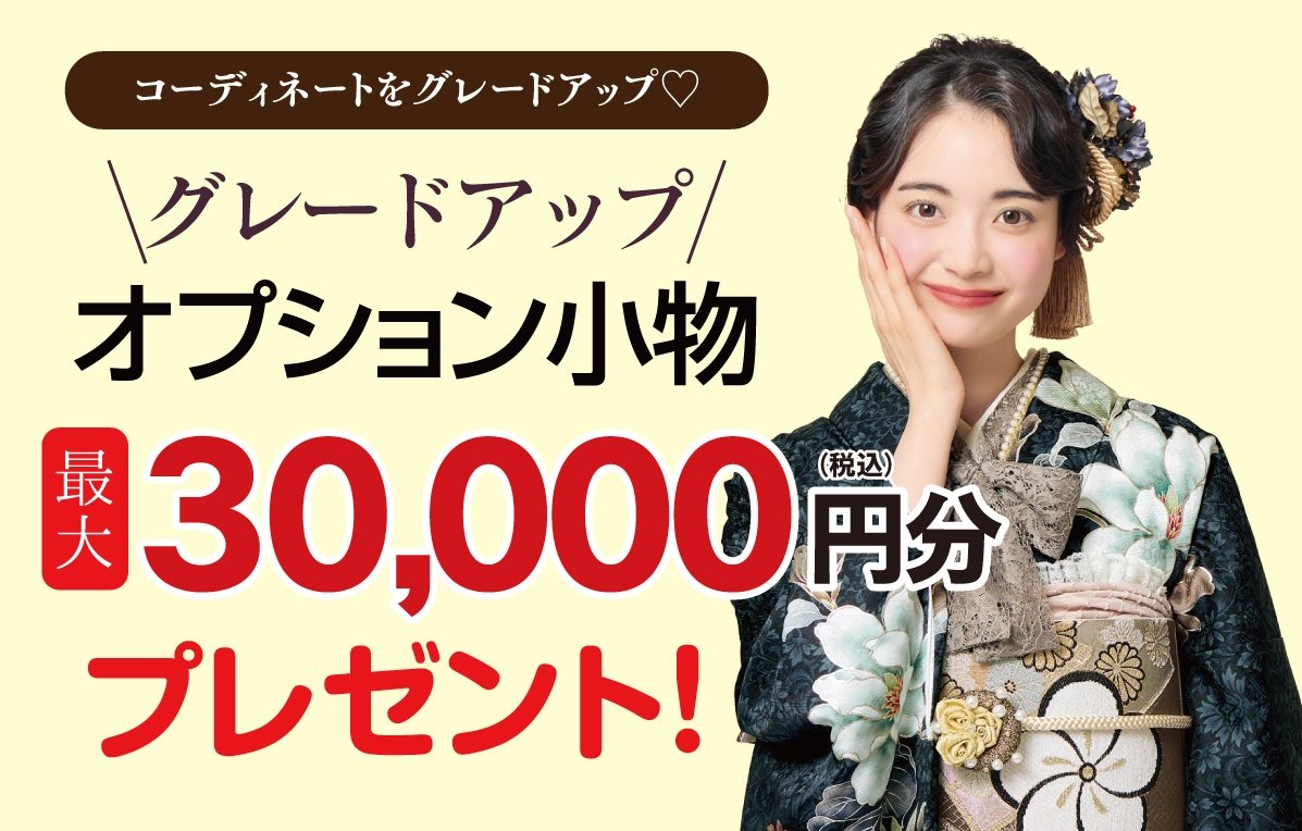 オプション小物2万円引き