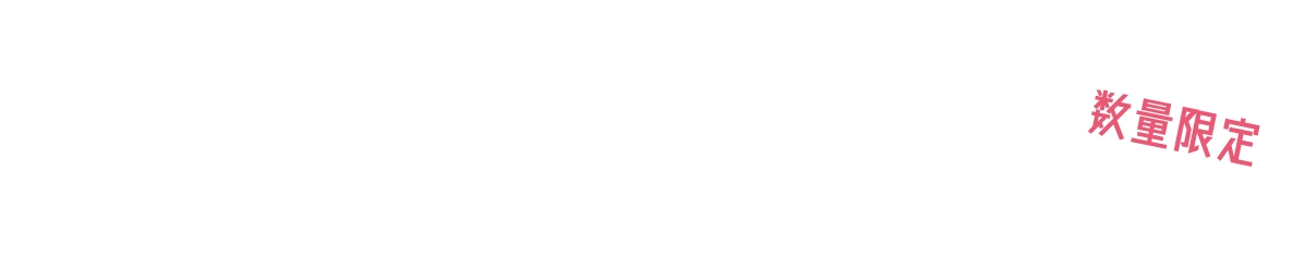2日間限りのスペシャル企画
