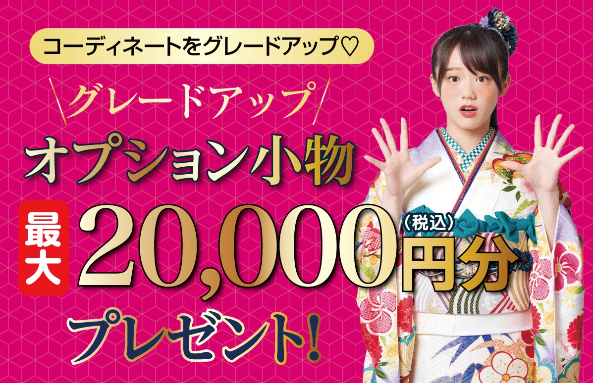 オプション小物3万円