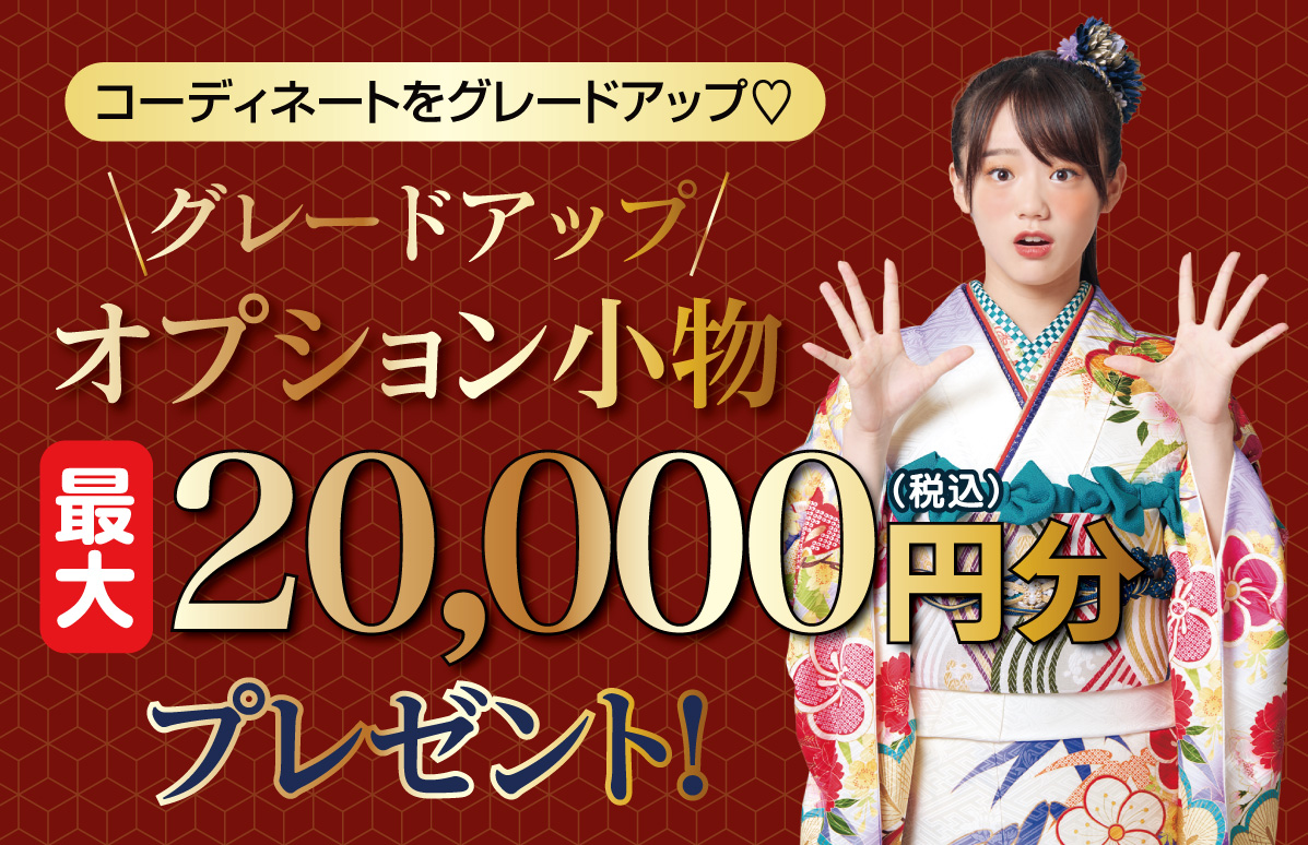 オプション小物2万円引き