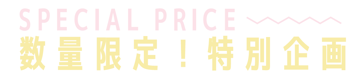 2日間限りのスペシャル企画