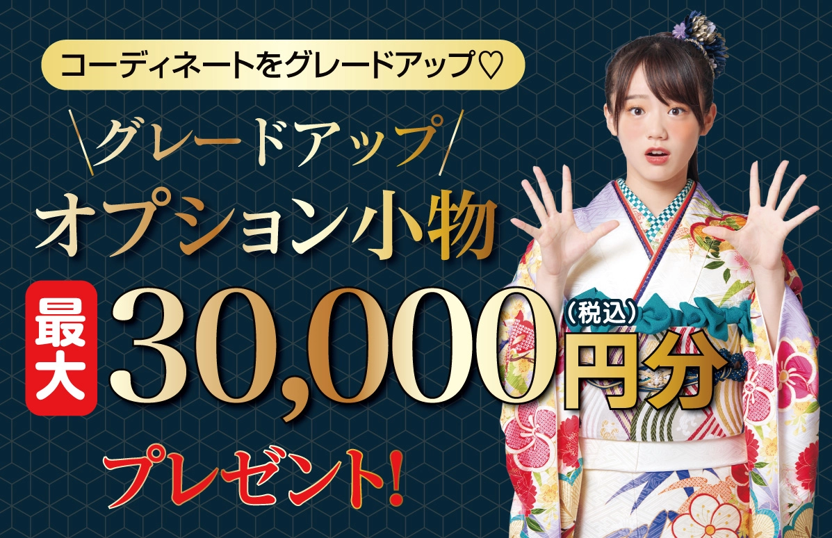 オプション小物3万円