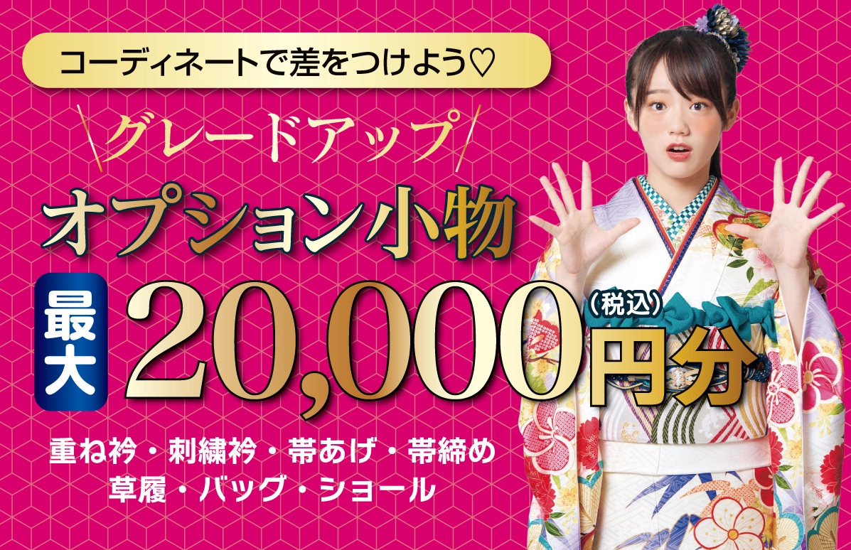 オプション小物2万円