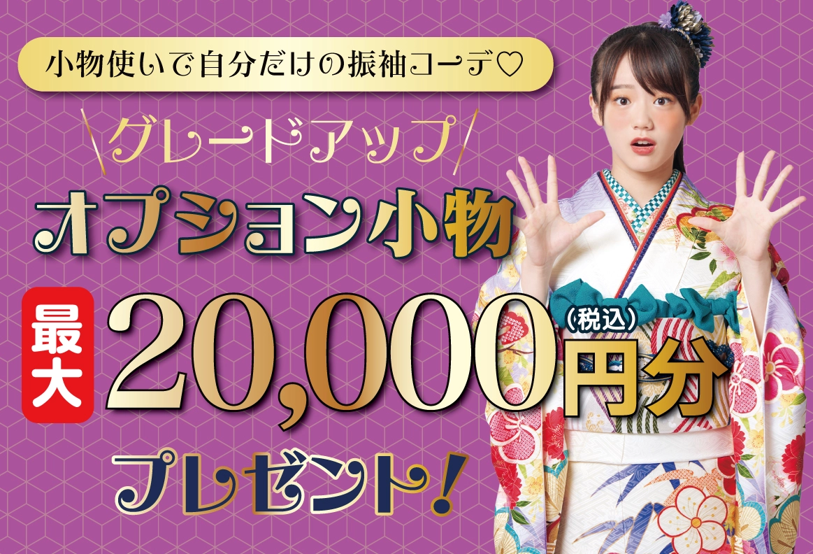 オプション小物2万円