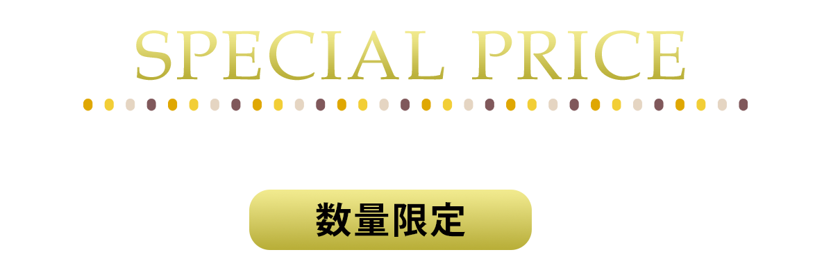 2日間限りのスペシャル企画