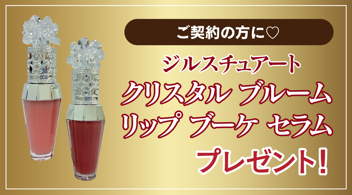 オプション小物 or 髪飾り
