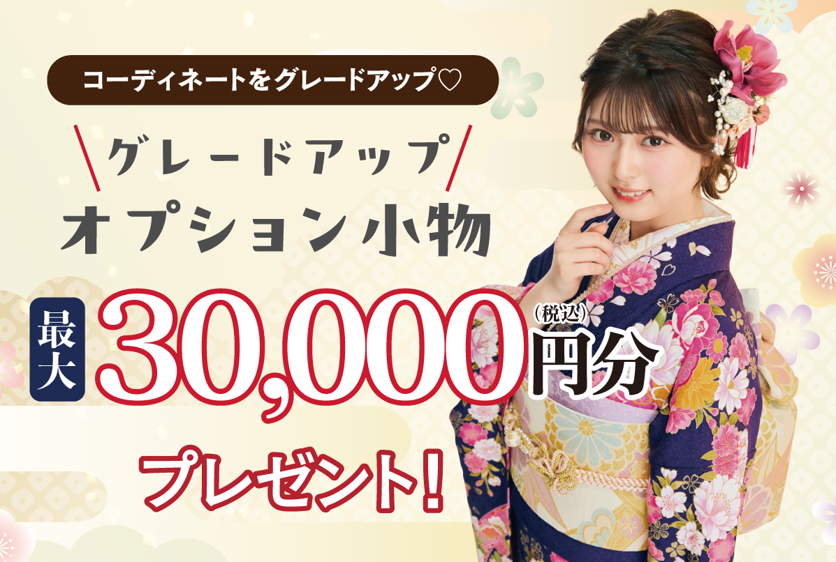 オプヨン小物