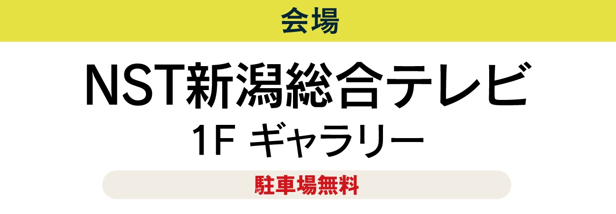 ＮＳＴ新潟総合テレビ