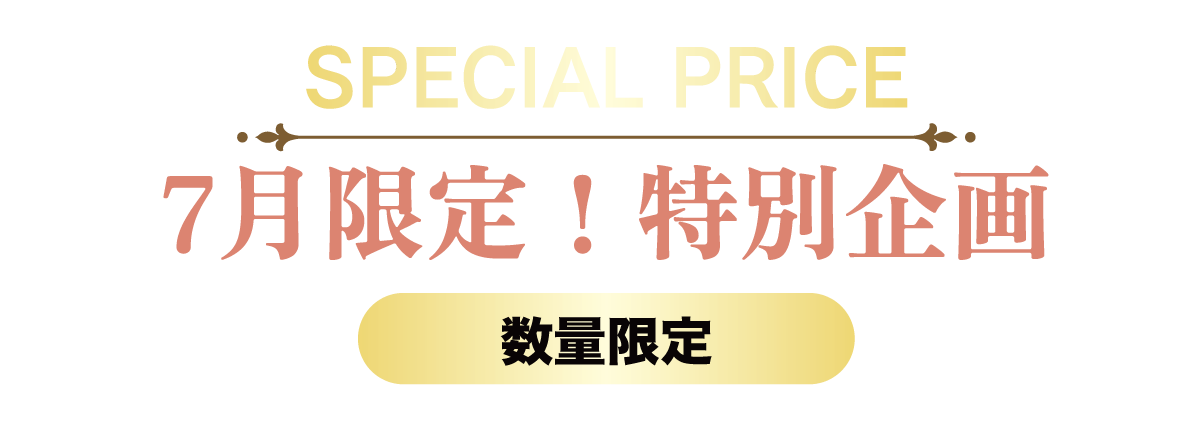 2日間限りのスペシャル企画